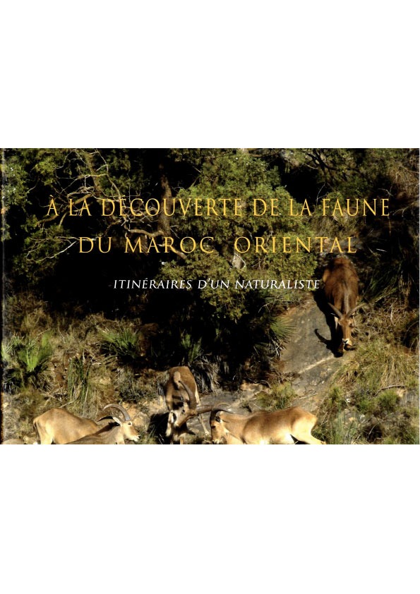 A la Découverte de la faune du Maroc oriental