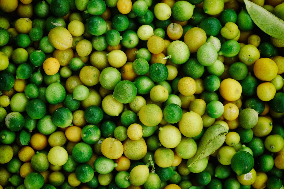 Agrumiculture : Trois questions au directeur régional de l’Agriculture de l’Oriental