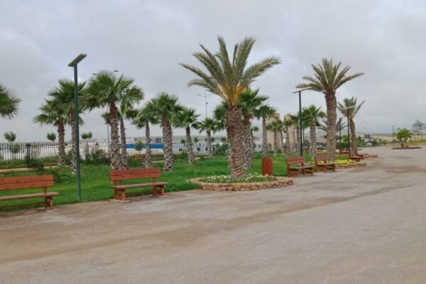 24ee4882-328e-4170-945a-ce2a76ad338b