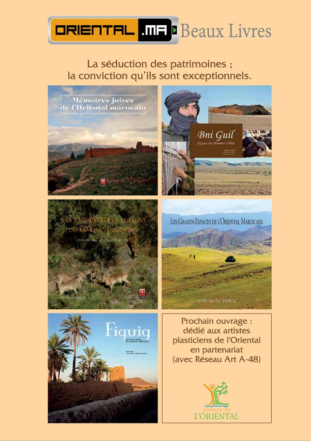 Sommaire de INVESTISSEMENT LES REGIONS EN COMPETITION (Version Arabe)