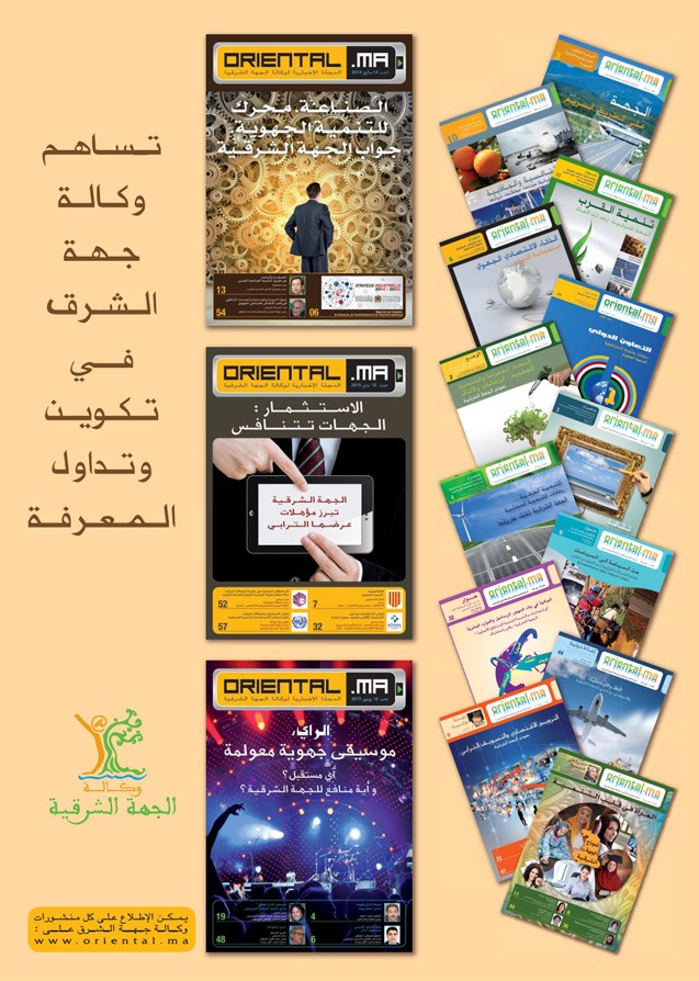 Sommaire de Coaching Territorial Régional : les Acteurs du développement en synergie (Version Arabe)