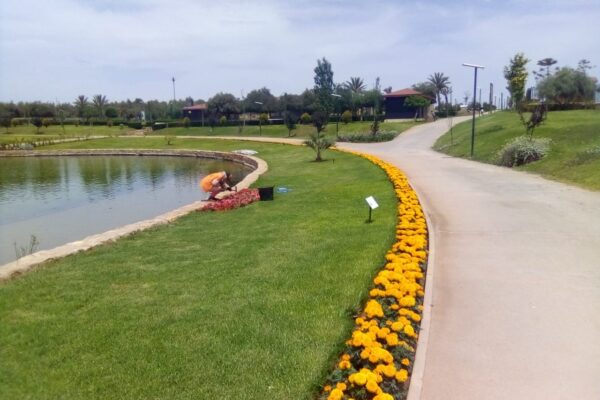 bc2a08bb-0690-441d-a128-3cad34a53e65