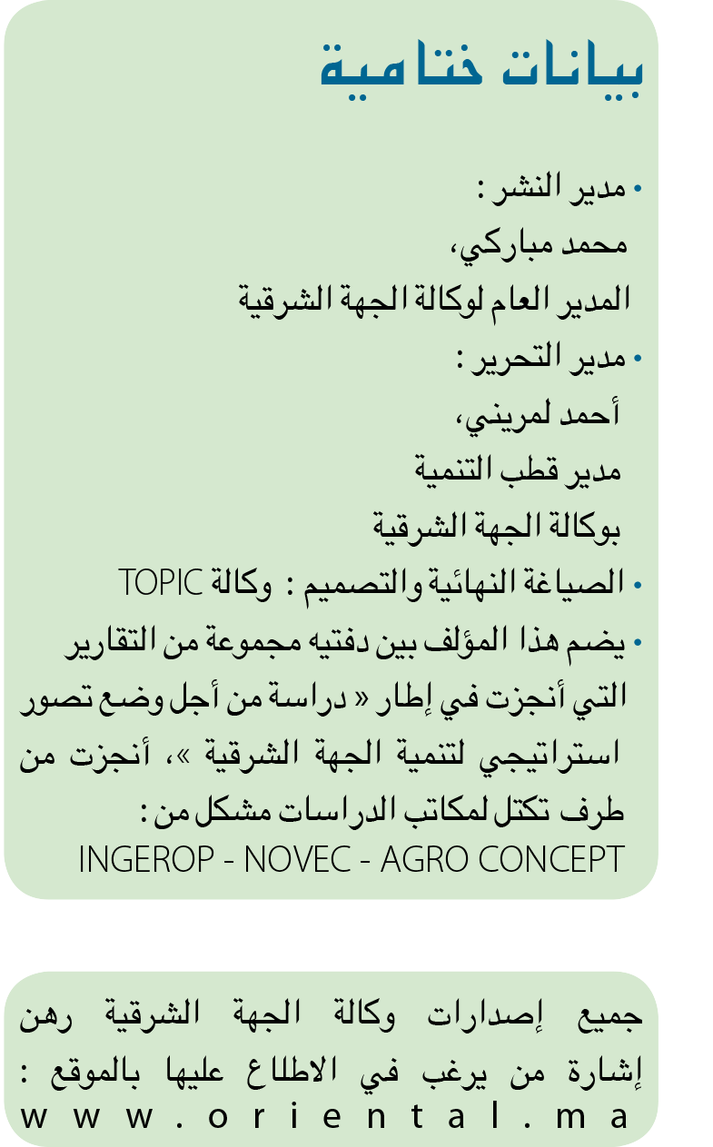 Sommaire de 2003-2013 de l’initiative Royale au développement régional Tome 2 Version Arabe