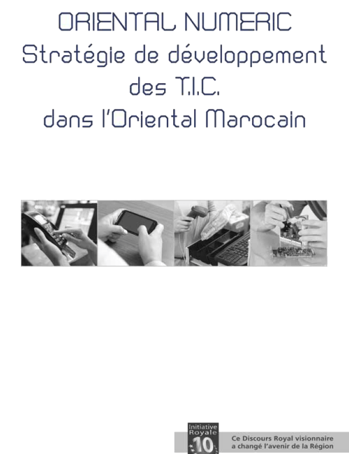 Rapport Stratégie TIC