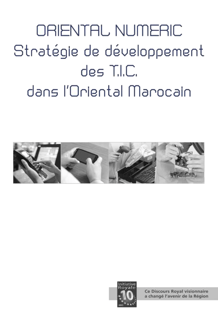 Rapport Stratégie TIC
