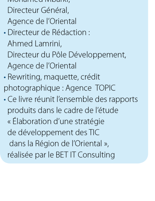 Rapport Stratégie TIC