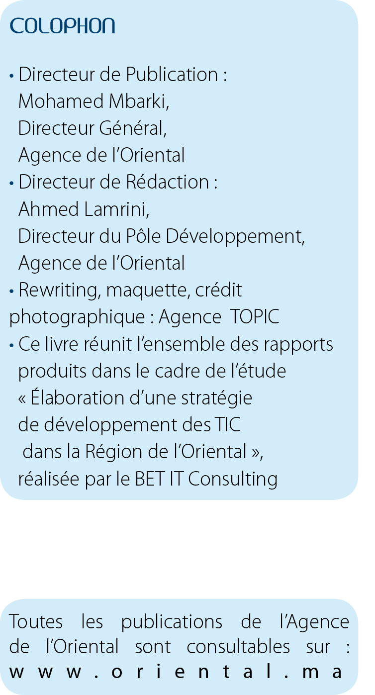Sommaire de Rapport Stratégie TIC